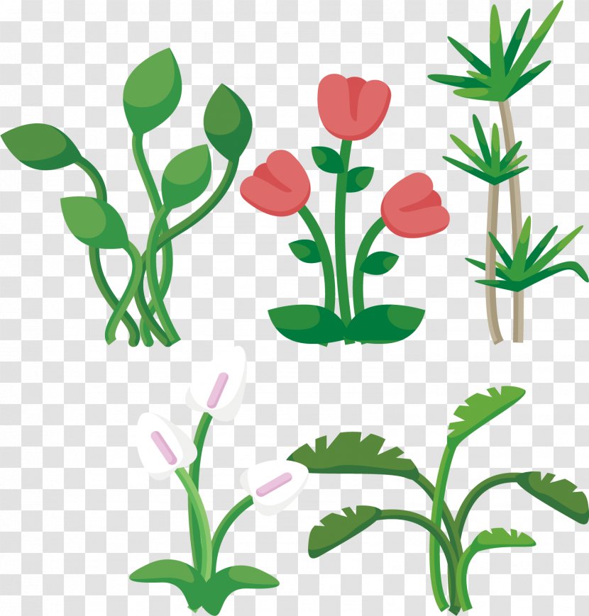 Leaf Plant Euclidean Vector Tree - Green - Red Tulips Transparent PNG