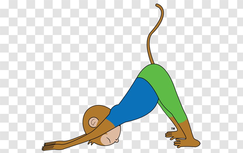 Yoga Monkey Kids: Beginner Poses Mammal Line Clip Art Transparent PNG
