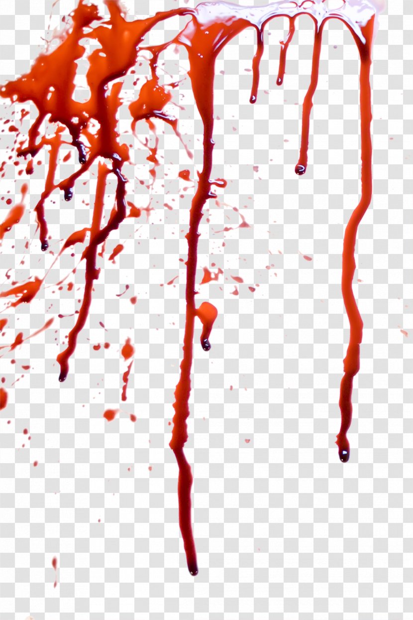 Blood Image File Formats - Silhouette - Fresh Flowing Transparent PNG