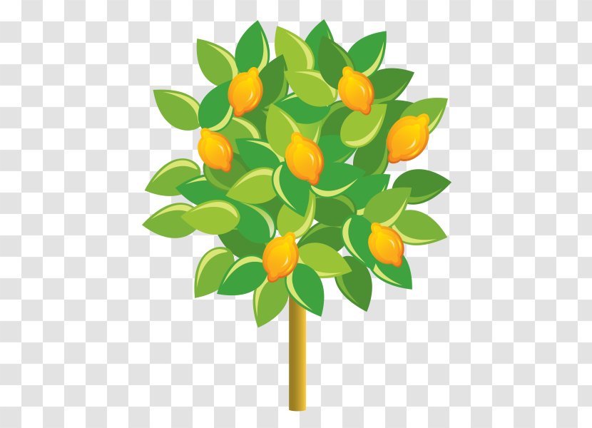Clip Art Vector Graphics Openclipart Image - Flowering Plant - Lemon Transparent PNG