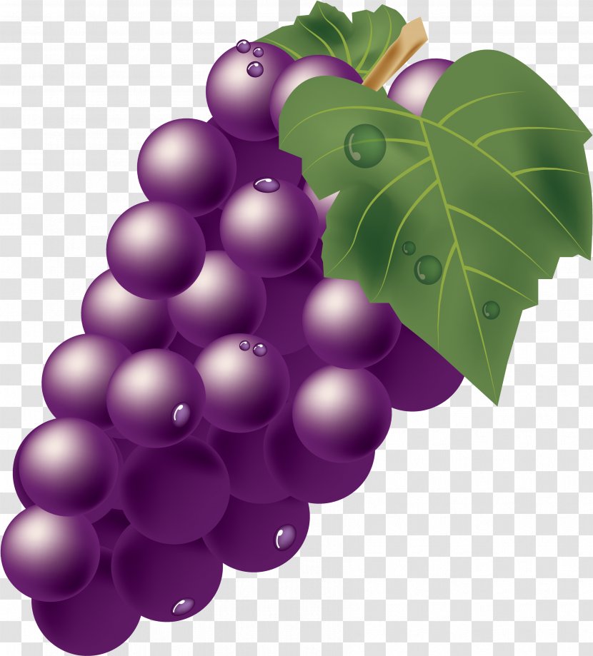 Muscat Grape Illustration Photography Vector Graphics - Kyoho Transparent PNG