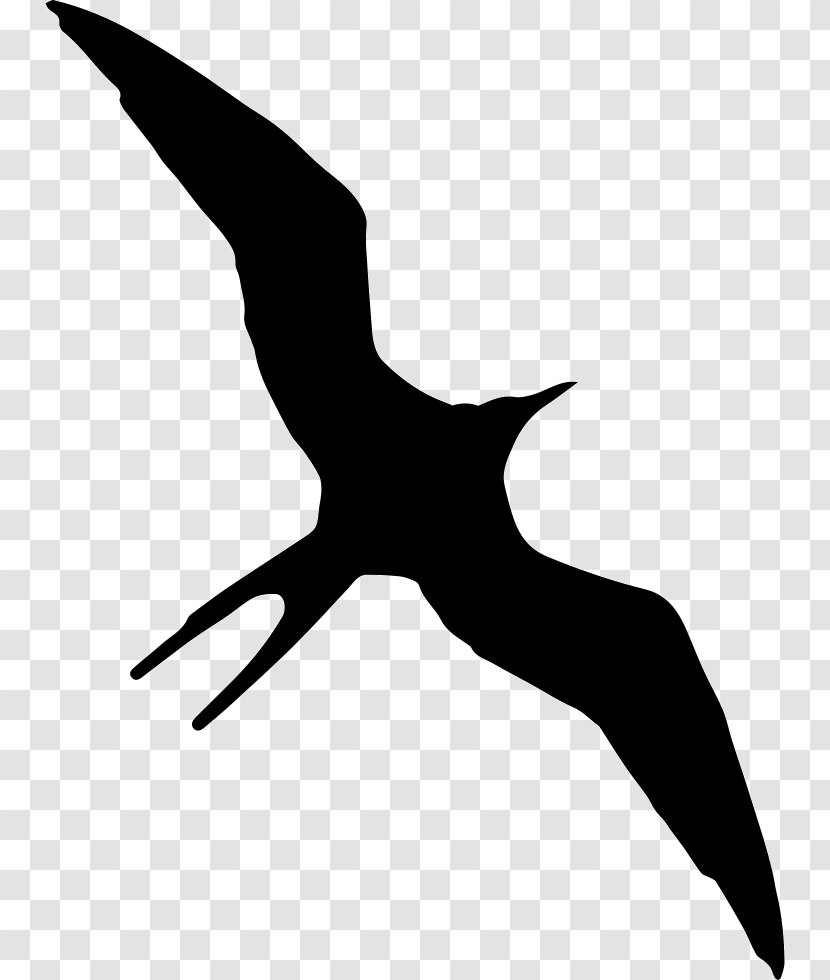 Christmas Frigatebird Gulls Silhouette Ascension - Joint - Bird Transparent PNG