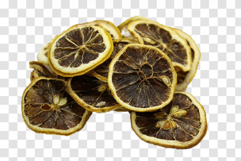 Lemon Dried Fruit Orange Stock.xchng - Flavor - Slices Transparent PNG