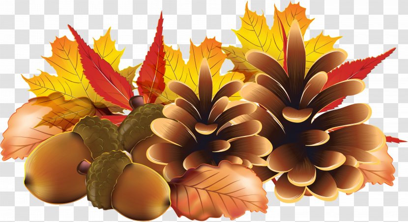 Harvest Pinecone - Leaf - Autumn Transparent PNG