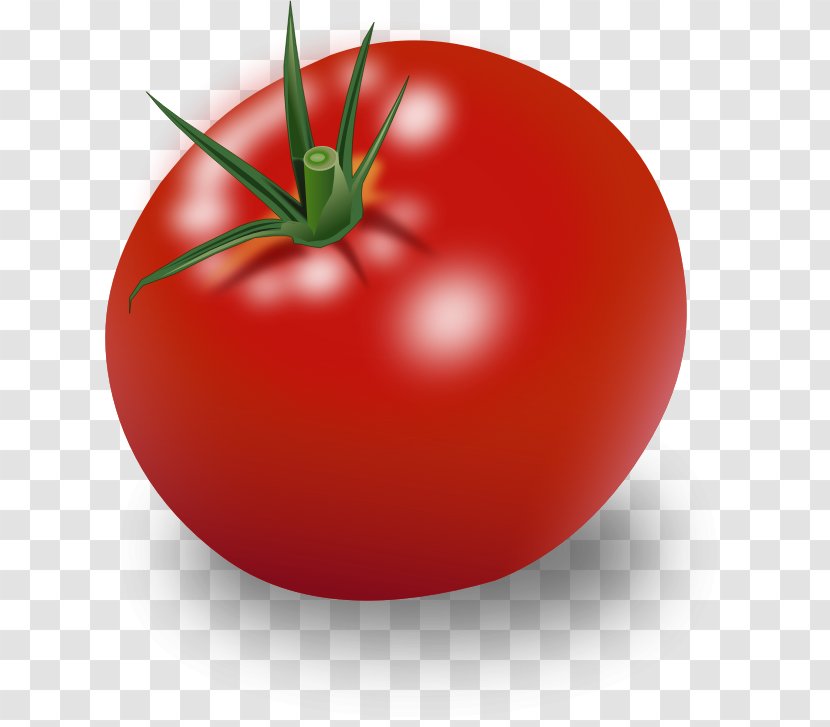 Hamburger Cherry Tomato Ripening Vegetable Clip Art Transparent PNG