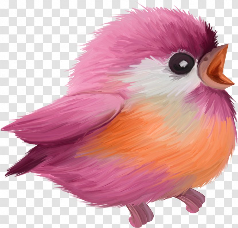 Animation Icon - Plum Blossom - Chick Transparent PNG