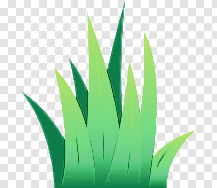 Green Leaf Watercolor - Welfare - Perennial Plant Aloe Transparent PNG