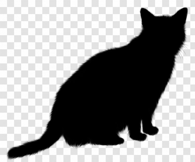 Manx Cat Kitten Black Matagot Domestic Short-haired - Cattery - Tail Transparent PNG