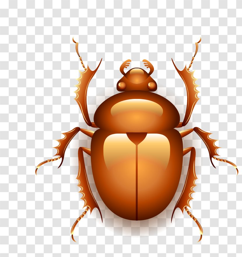 The Deeds Of Disturber Icon - Pest - Egypt Insect Transparent PNG