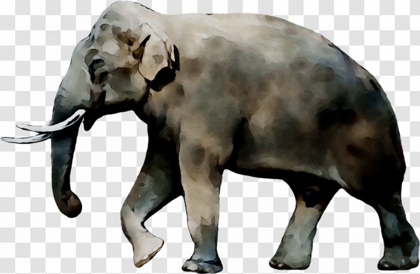 Notiomastodon Alphabet Song Indian Elephant Stegomastodon - Animal Figure Transparent PNG