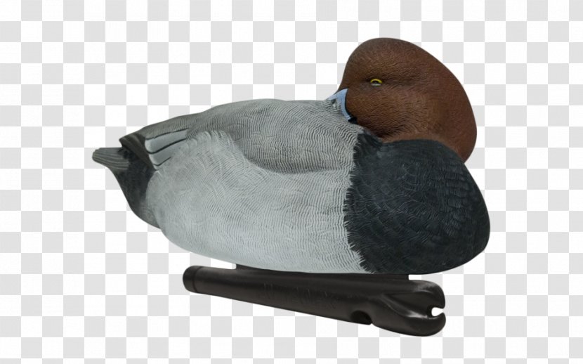 Duck Decoy Mallard Goose - Anseriformes Transparent PNG