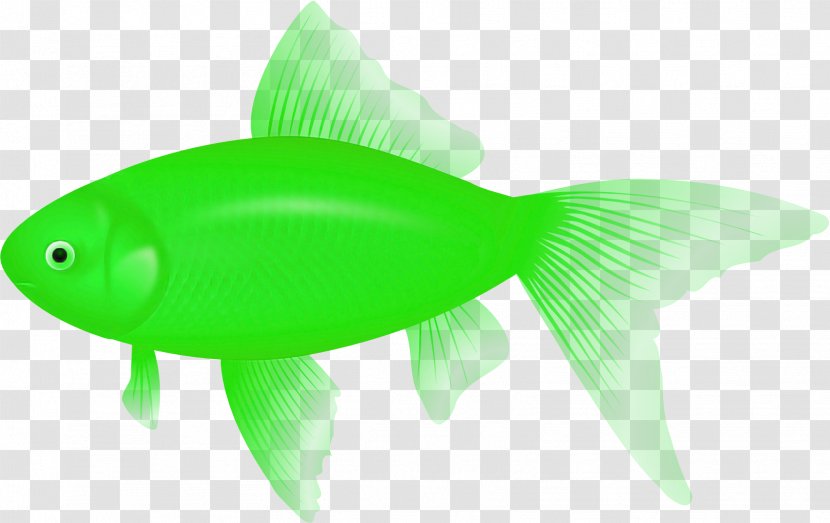 Green Fish Fin Tail - Bonyfish Transparent PNG