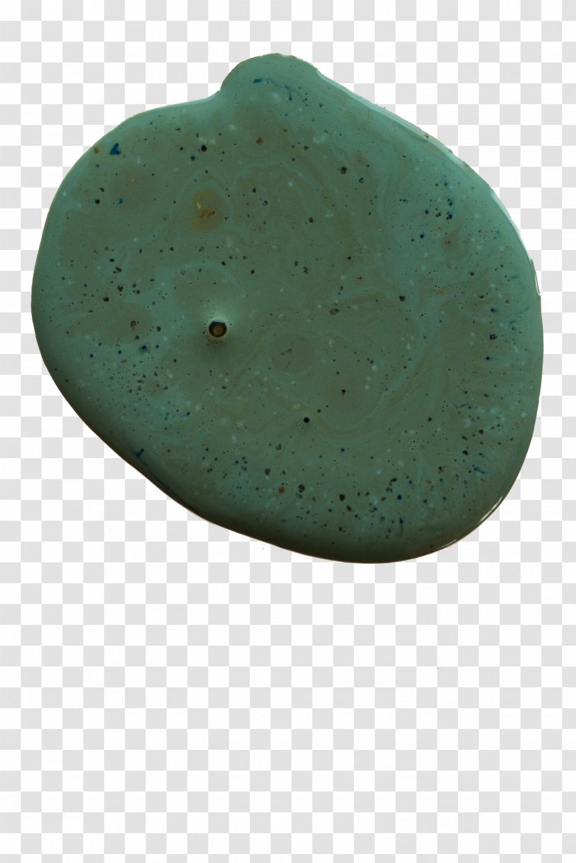 Organism Turquoise Transparent PNG