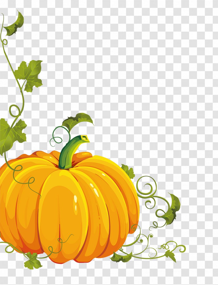 Pumpkin Vector Graphics Halloween Clip Art Image - Vegetable - Kabocha Transparent PNG