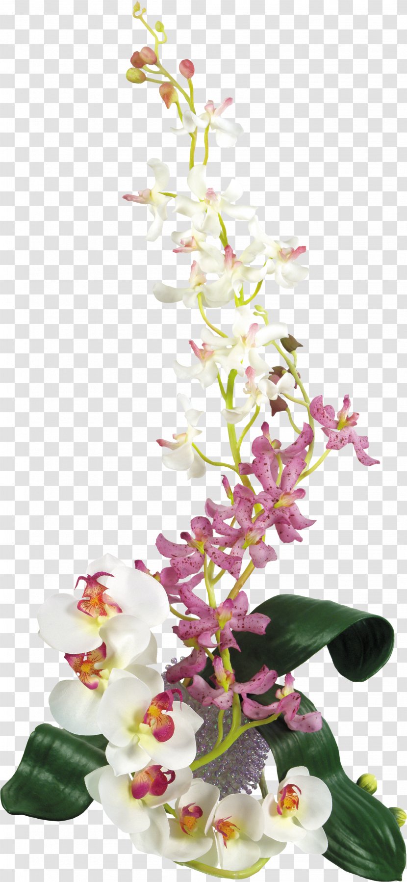 Flower Bouquet Cut Flowers Orchids - Floristry Transparent PNG