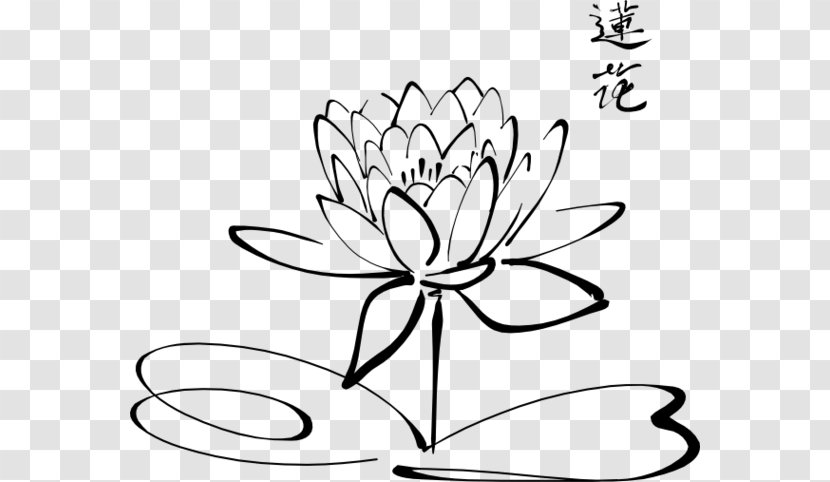 Black And White Flower - Aquatic Plant - Water Lily Style Transparent PNG