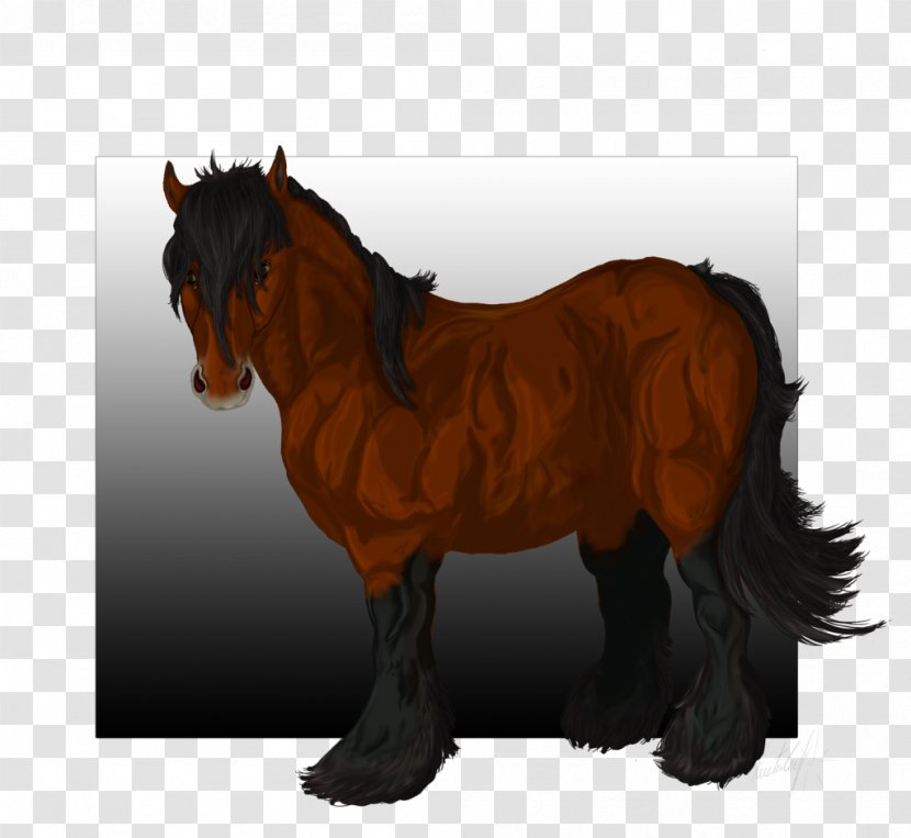 Mane Mustang Foal Stallion Pony Transparent PNG