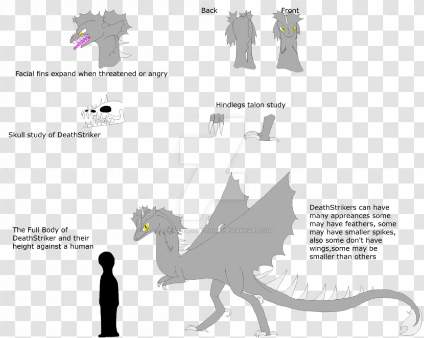 Horse Mammal - Text - Species Human Transparent PNG