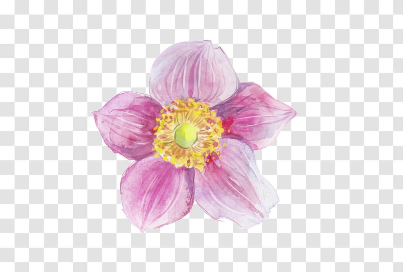 Flower Watercolor Painting Ink - Dahlia - Water-color Transparent PNG