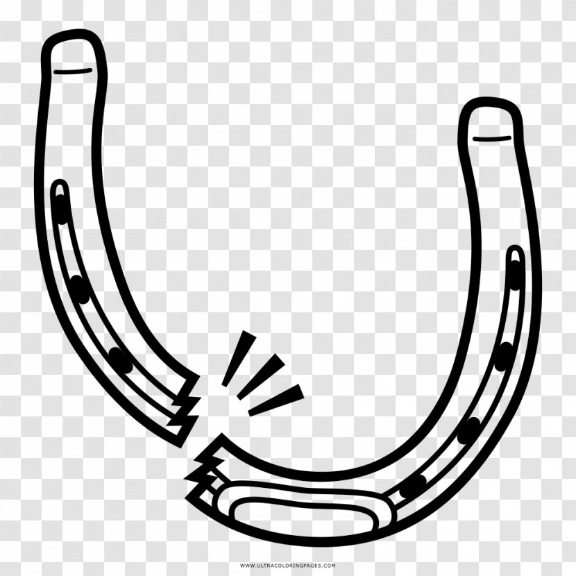 Horseshoe Clip Art Coloring Book - Drawing - Biology Clipart Black And White Crab Transparent PNG