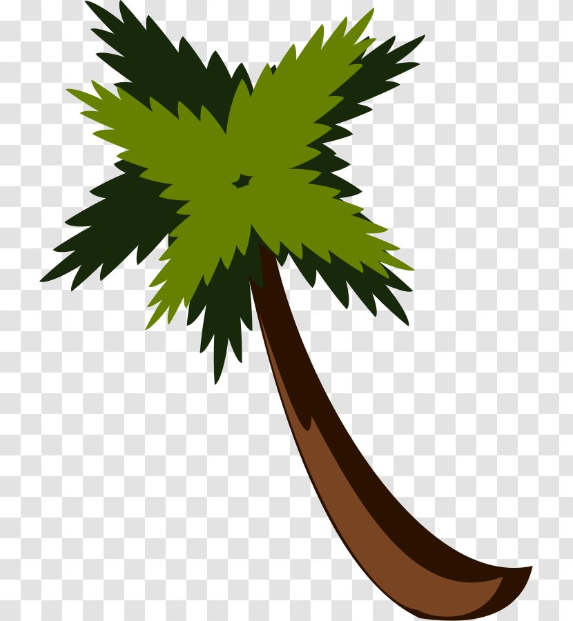 Arecaceae Free Content Clip Art - Palm Tree - Vector Trees Transparent PNG