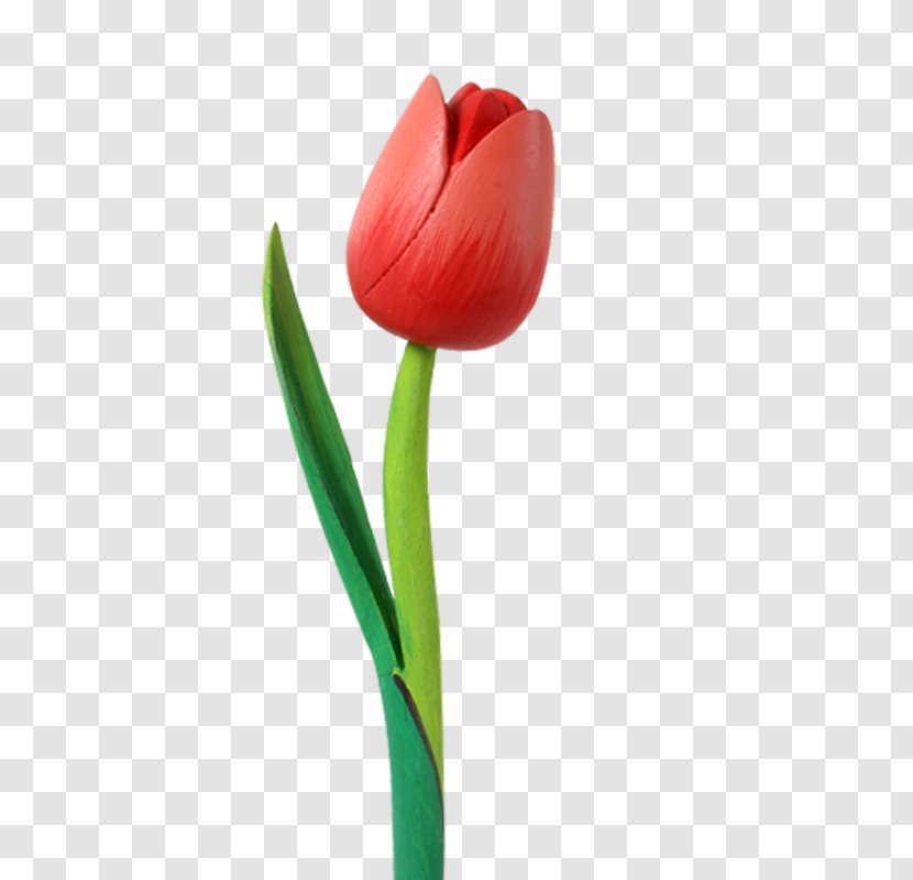 Cut Flowers Flowering Plant Tulip - Family - Pink Transparent PNG