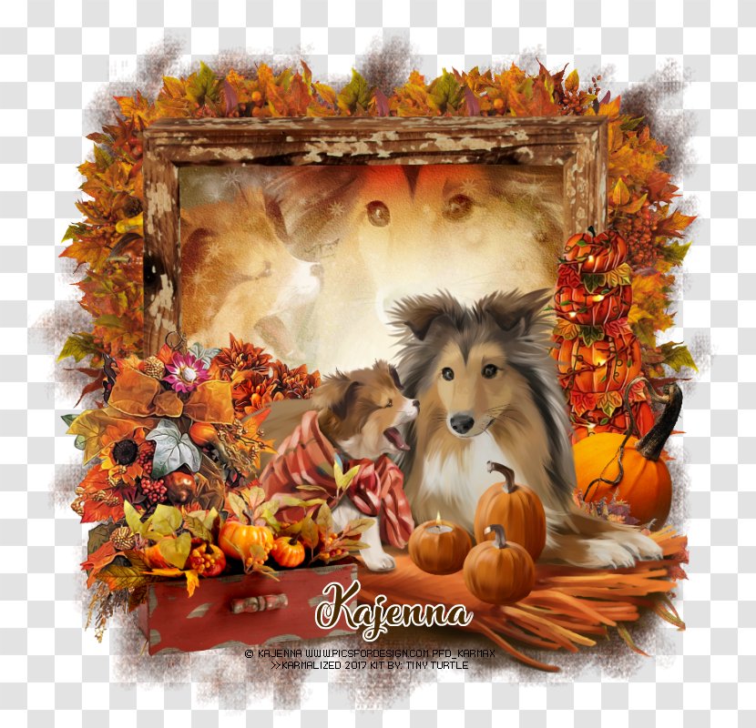 Dog Breed Puppy Cayenne Photography Transparent PNG