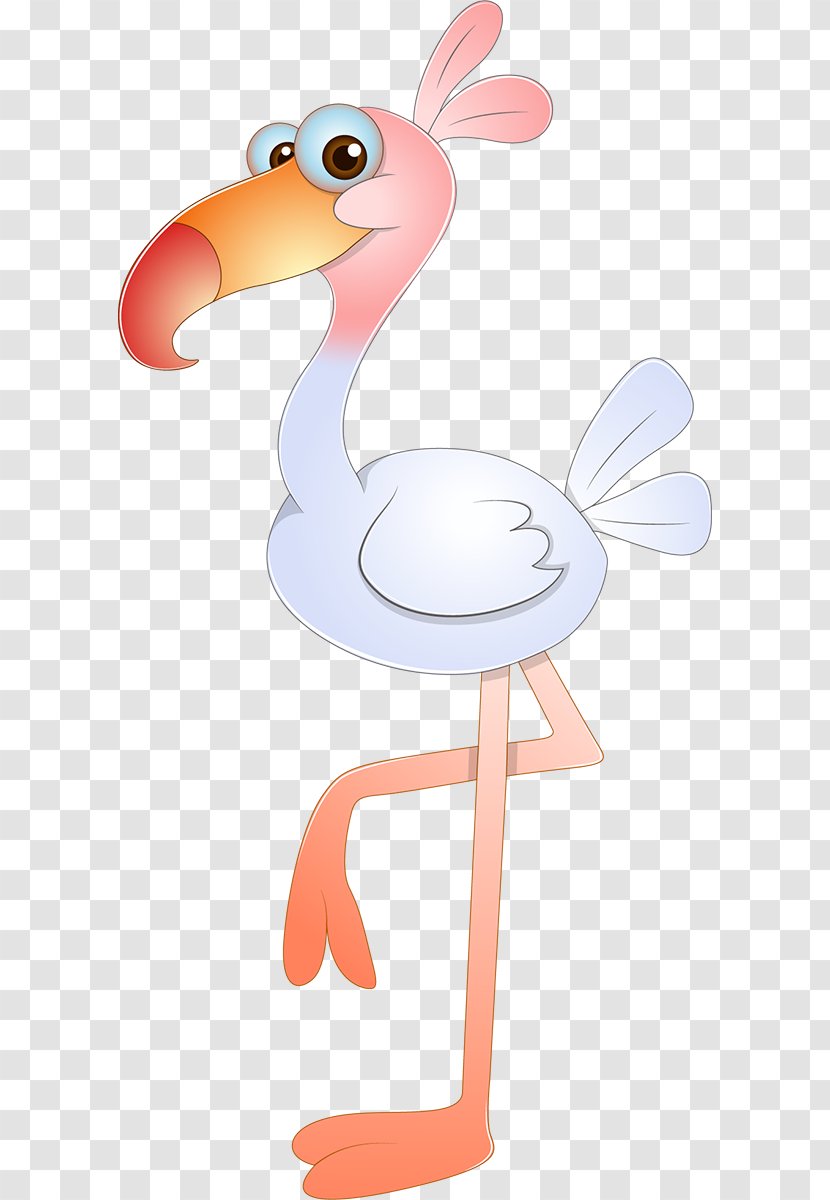 Duck Drawing Bird Cartoon Transparent PNG