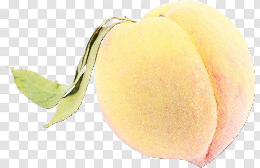 Peach Flower - Plant Transparent PNG