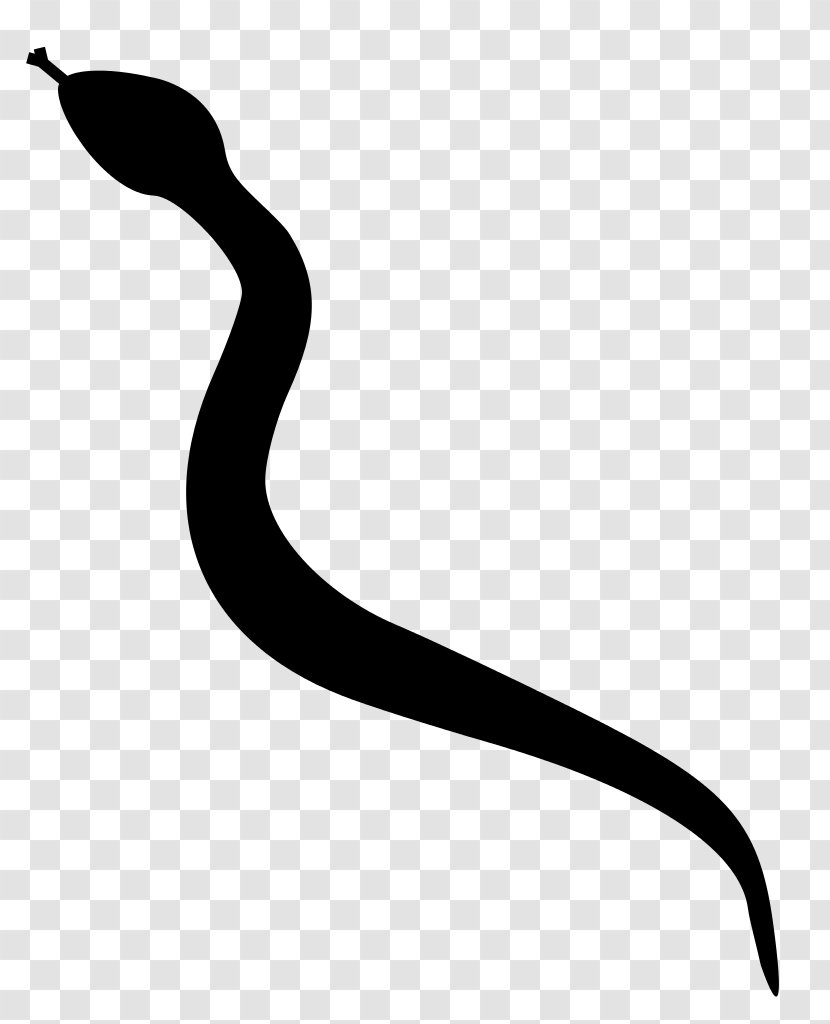 Snake Silhouette Clip Art - Artwork Transparent PNG