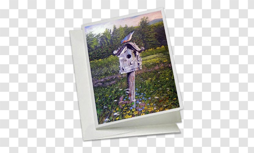 Picture Frames Tree Gene - Frame Transparent PNG