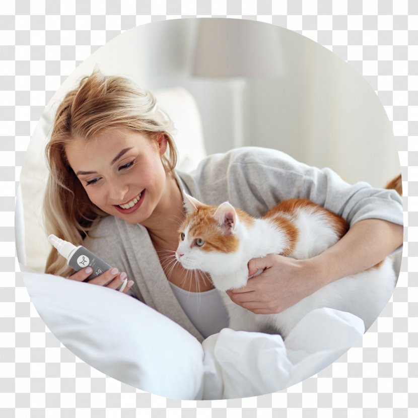 Cat Pet Dog Horse Guinea Pig - Animalassisted Therapy - Wound Treatment Transparent PNG