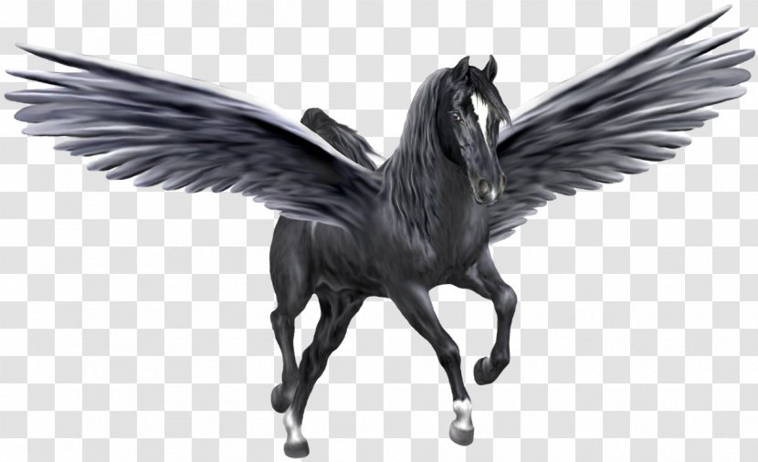 Pegasus Unicorn Horse Black - Flight Transparent PNG