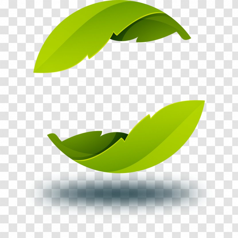 Logo - Leaf Shadow Transparent PNG