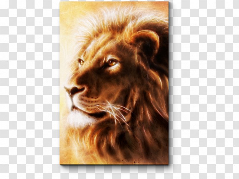 Lion Painting Airbrush Art Drawing - Cat Like Mammal Transparent PNG