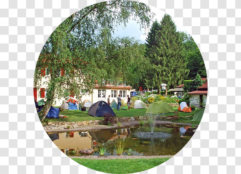 Camping & Gästezimmer Am Möslepark In Freiburg Campsite Leisure - Plant Transparent PNG