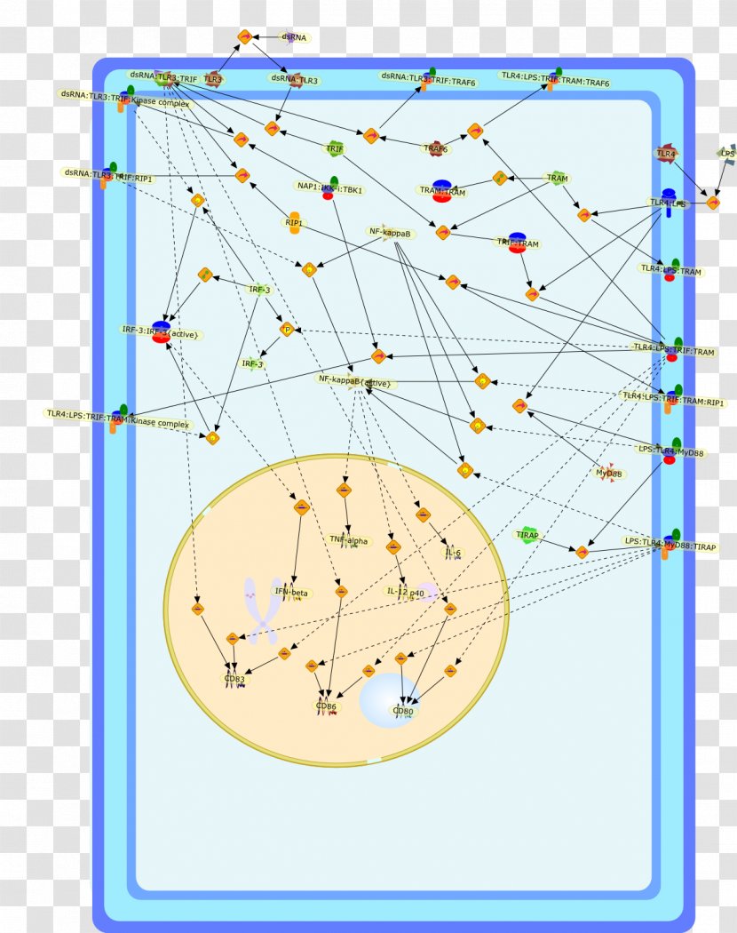 Line Point Angle Diagram - Area Transparent PNG