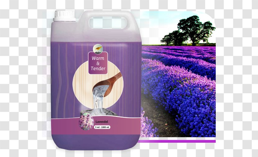 Provence Lavender Hotel Shrub Odor - Lavendel Transparent PNG