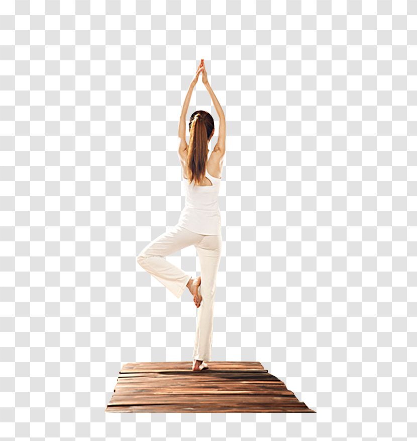 Yoga Download Icon - Asento Transparent PNG