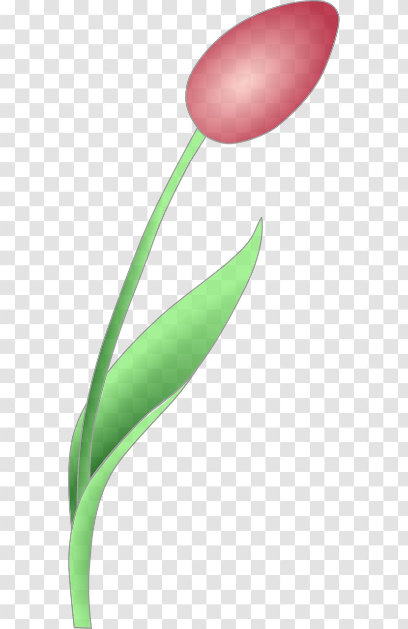 Desktop Wallpaper Clip Art - Bud - Tulips Transparent PNG