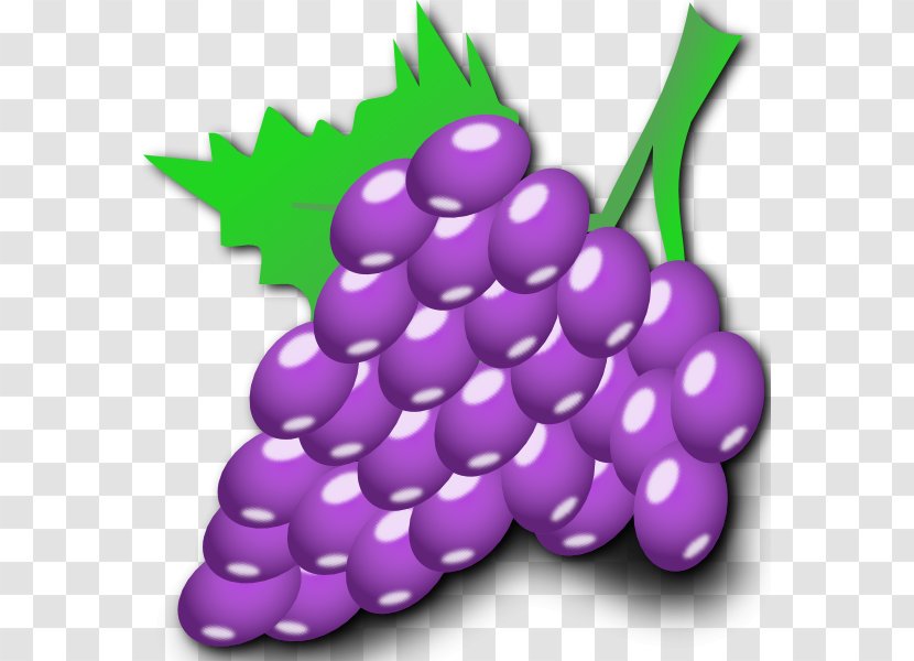 Common Grape Vine Cartoon Clip Art - Drawing - Grapes Transparent PNG