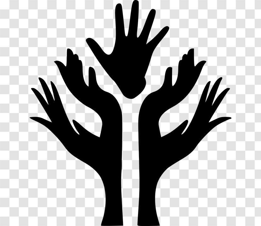 Tree Hand - Stock Photography Transparent PNG
