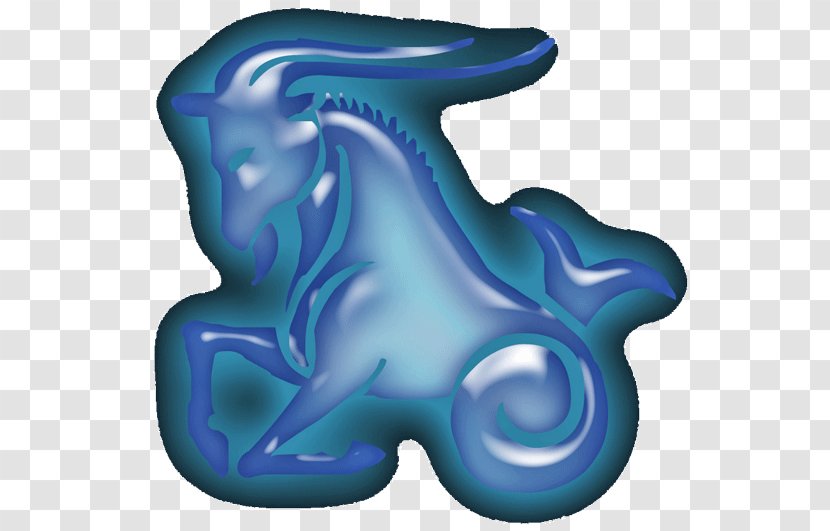 Capricorn Zodiac Love Astrological Sign January 20 Transparent PNG