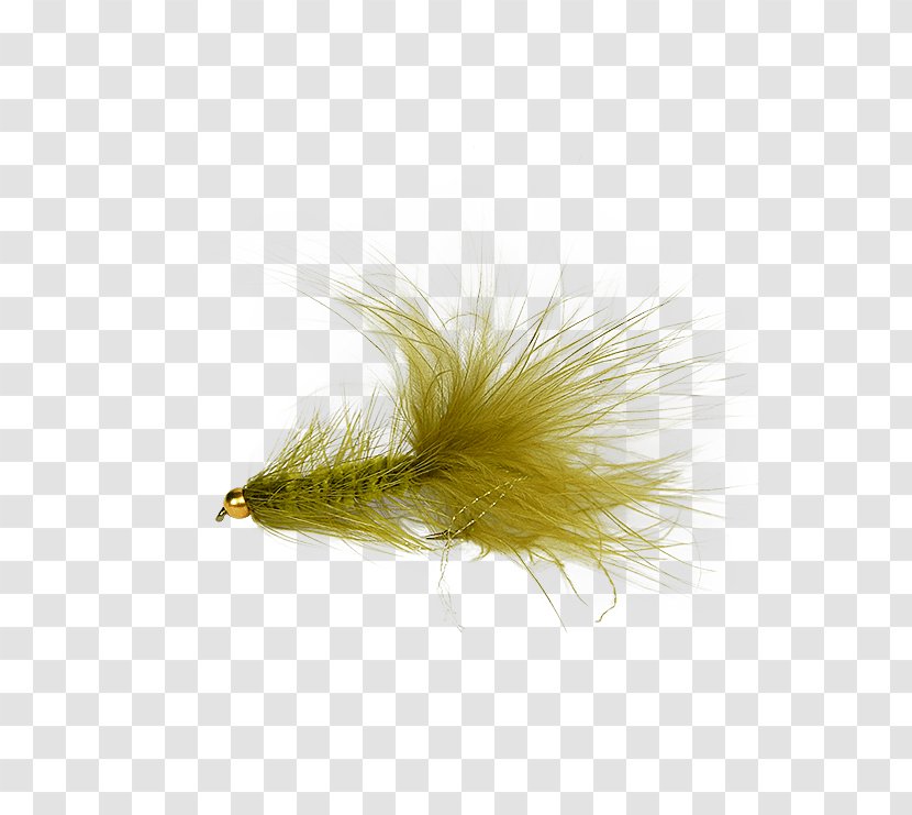 Woolly Bugger Worley-Bugger Fly Co Precision Fishing - Stock Transparent PNG