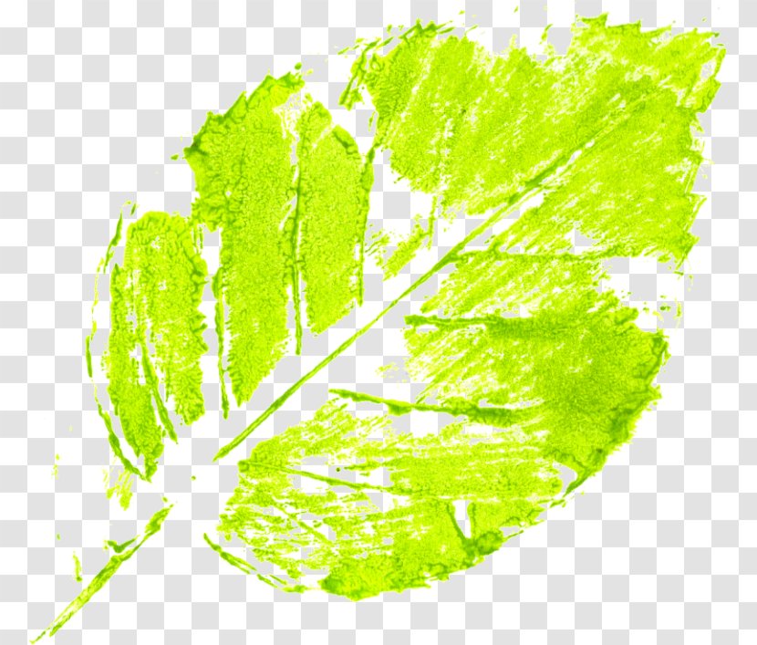 Leaf Abstract Art Modern Green - Minimalism Transparent PNG