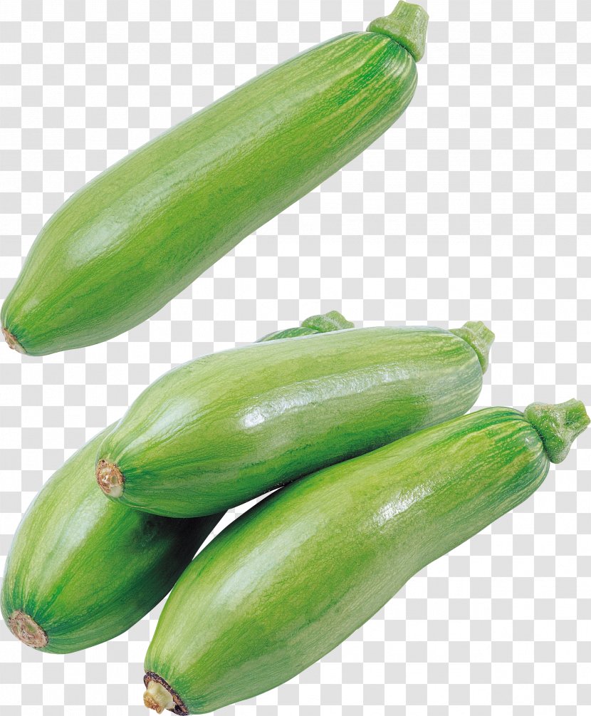 Cucumber Vegetarian Cuisine Summer Squash Cucurbita Pumpkin - Local Food Transparent PNG