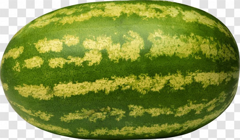 Citrullus Lanatus Var. Melon Fruit Honeydew - Plant - Watermelon Transparent PNG