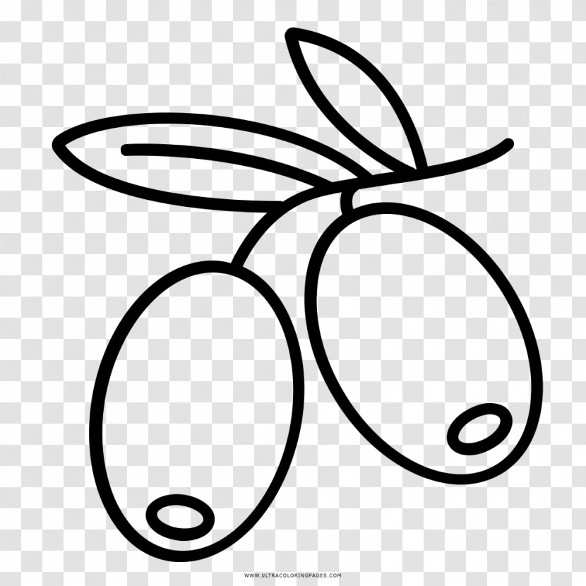 Drawing Olive Coloring Book Line Art Black And White - Plant Transparent PNG