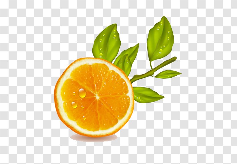 Orange Juice Lemon Fruit - Citric Acid Transparent PNG