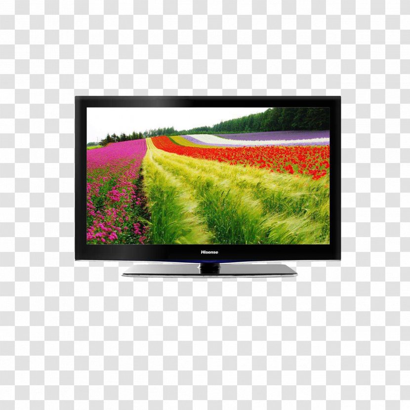 Television Antenna Digital High-definition - Radio Receiver - Hisense TV Transparent PNG